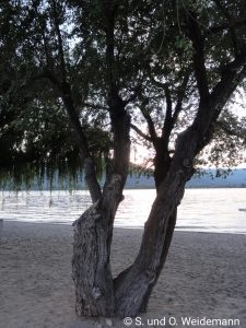 Strand am Lake Osoyoos