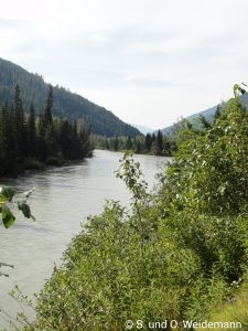 Am Highway 5