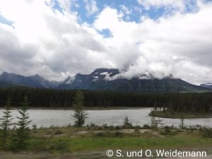 Athabasca River am Icefields Parkway