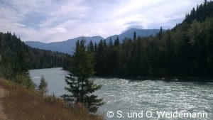 Der Fluss vor den Helmcken Falls