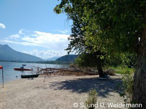 Strand am Shuswap Lake