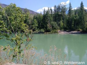 Der Highway 5 läuft entlang des North Thompson River