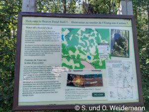 Infotafel am Beaver Pond Trail