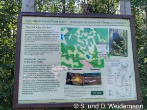 Infotafel am Beaver Pond Trail