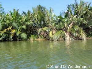 Fahrt auf dem Thu Bon River