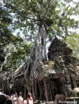 Ta Prohm