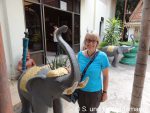 Susanne und ein Elefant