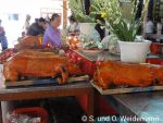 Schweinereien im Tempel