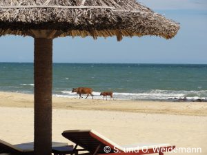 Am Strand von Mui Ne